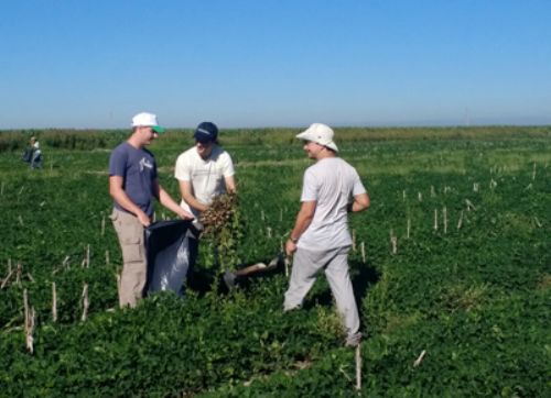 Jornada manisera en el Campo Escuela de la UNC