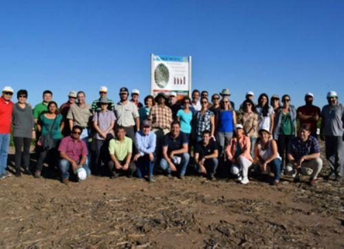 Buscan soluciones sustentables para el maní