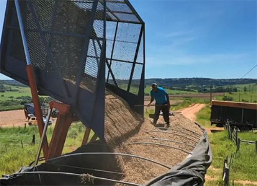 Prevén una de las mejores cosechas en el interior de San Pablo