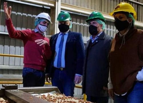 “Dale Gas”: CTA Argentina podrá duplicar producción de maní alto oleico
