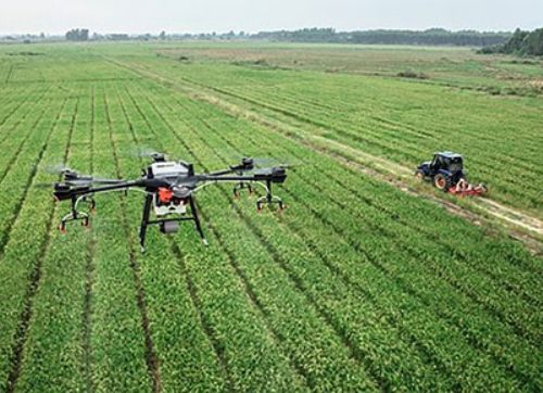 Los drones toman vuelo en el cultivo de maní
