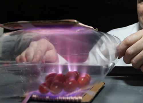 El plasma frío puede aportar al rendimiento y la seguridad alimentaria