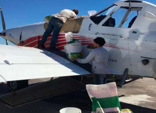 El impacto de la siembra aérea de cultivos coberturas