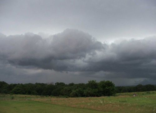 El Niño reaparecerá en primavera