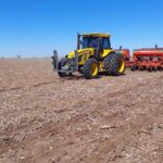 Récord histórico: El maní alcanza las 450.000 hectáreas