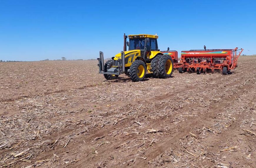 Récord histórico: El maní alcanza las 450.000 hectáreas