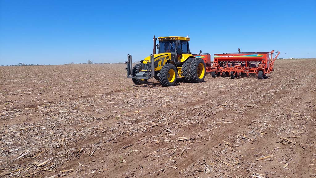 Récord histórico: El maní alcanza las 450.000 hectáreas