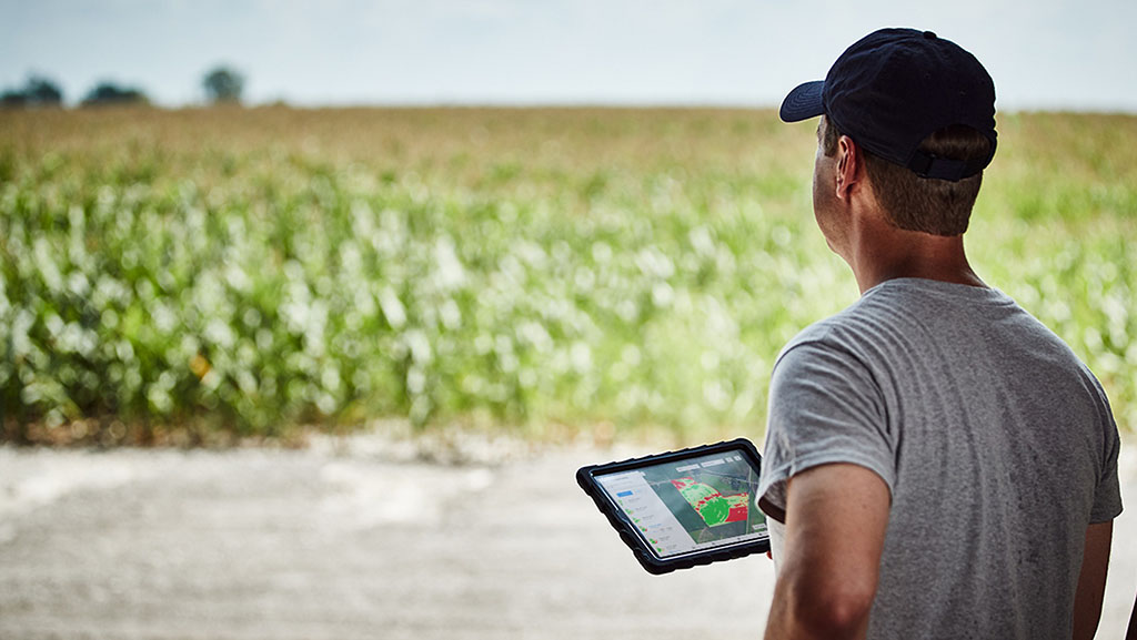 El maní, un paso adelante en agricultura regenerativa