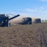 El maní argentino enfrenta un cruce de caminos: la urgencia de adoptar tecnología