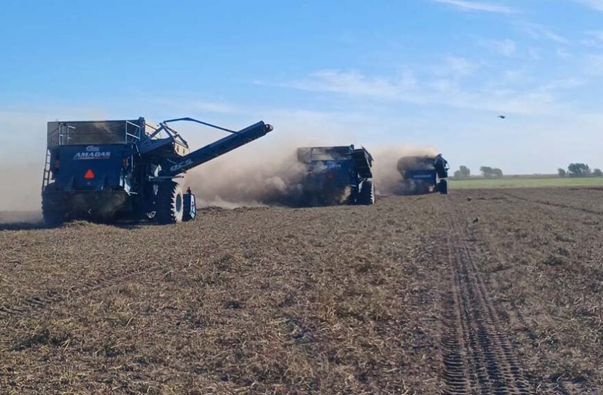 El maní argentino enfrenta un cruce de caminos: la urgencia de adoptar tecnología