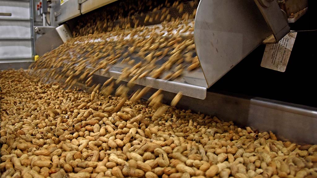 En una década el valor de las exportaciones de maní se duplicó