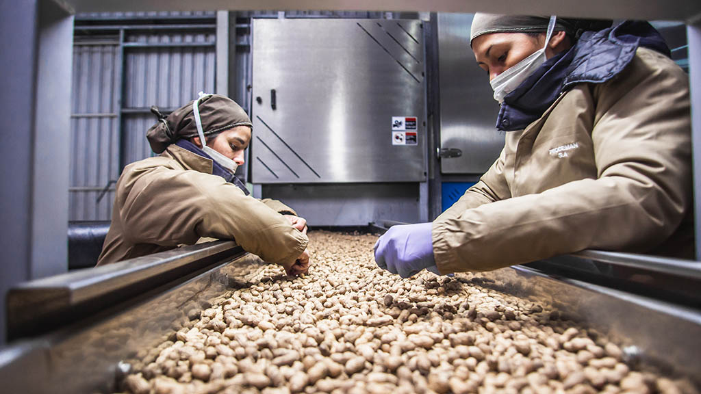 Bajo desempleo y alto dinamismo, las claves de una región manisera