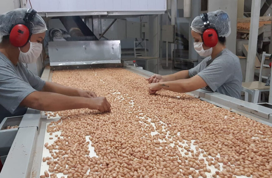 Exportaciones récord de maní: la demanda china impulsa al agro brasileño