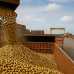 EEUU: mayor oferta de maní y una demanda más lenta presionan los precios