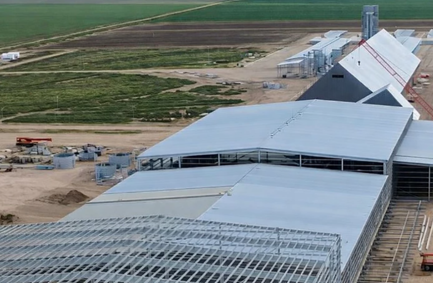 MSU actualiza inversión y suma U$S 20 millones a la mayor planta de maní de la región