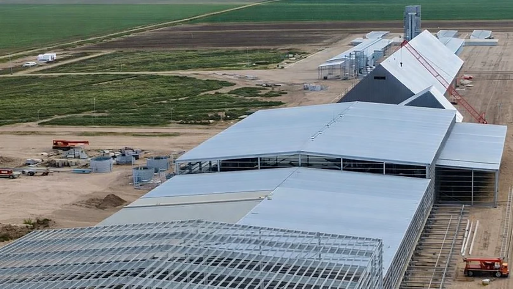 MSU actualiza inversión y suma U$S 20 millones a la mayor planta de maní de la región