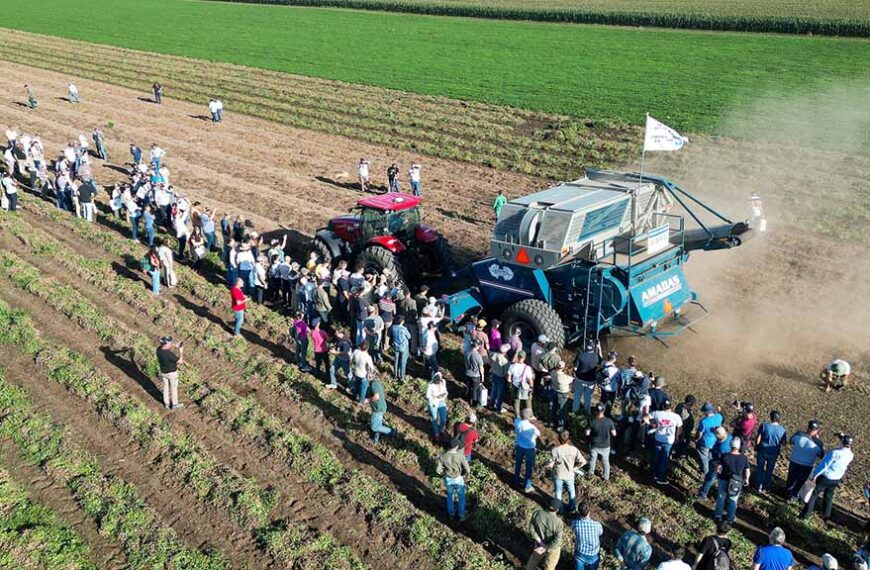 Llega el Circuito del Maní con una edición cargada de innovación y conocimiento