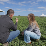 AlltecBio consolida su crecimiento en maní con foco en biotecnología y soluciones sustentables