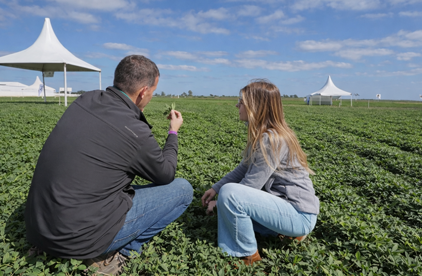 AlltecBio consolida su crecimiento en maní con foco en biotecnología y soluciones sustentables