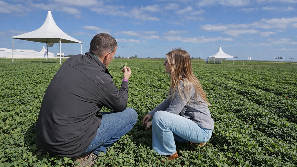 AlltecBio consolida su crecimiento en maní con foco en biotecnología y soluciones sustentables