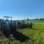 Misiones avanza con pruebas de maní y suma una nueva alternativa productiva