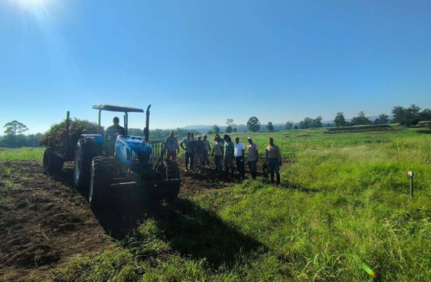 Misiones avanza con pruebas de maní y suma una nueva alternativa productiva